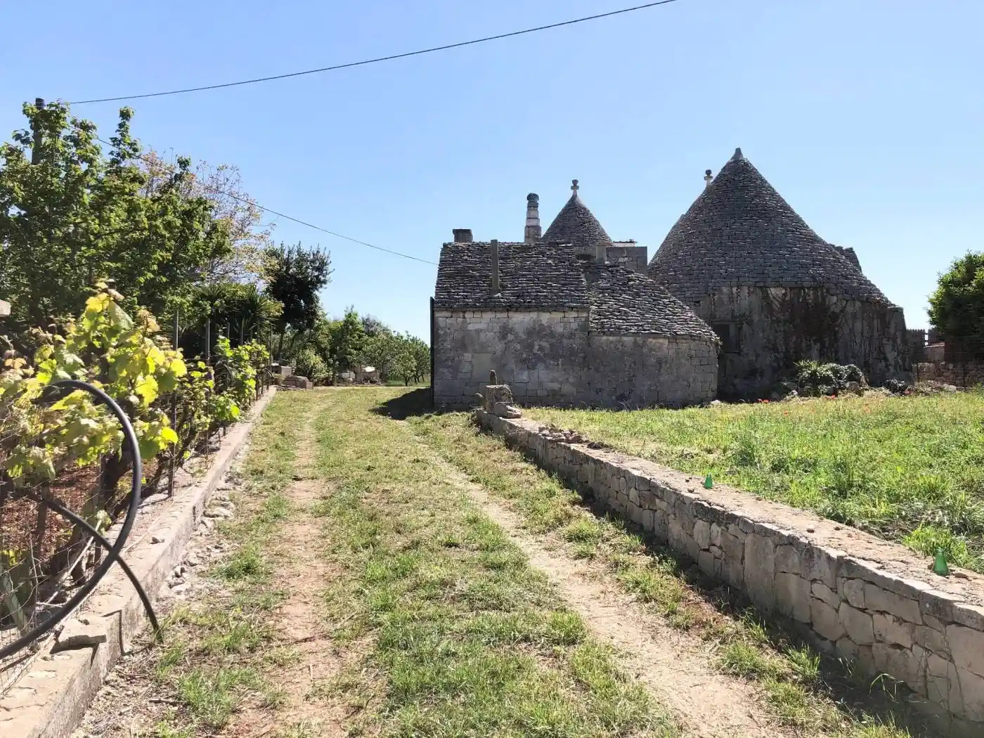 Rustico - Casale in vendita a Monopoli