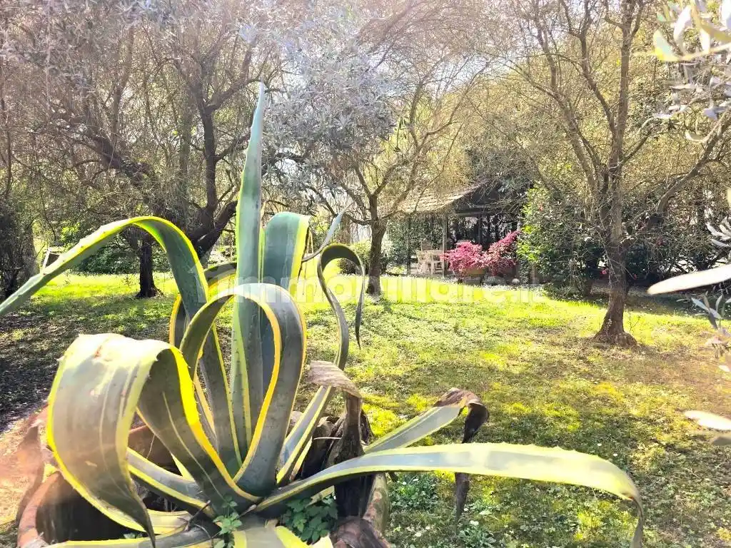 Terratetto unifamiliare via di Filettole, Nozzano - Arliano, Lucca - foto 2