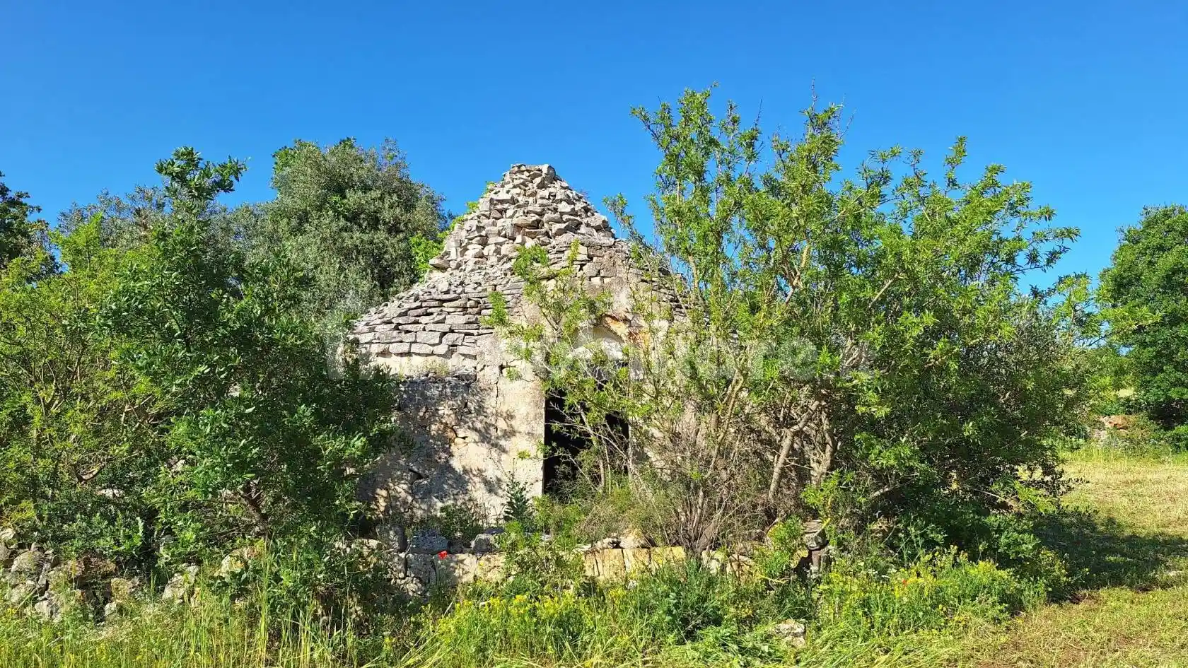 Rustico - Casale in vendita a Putignano