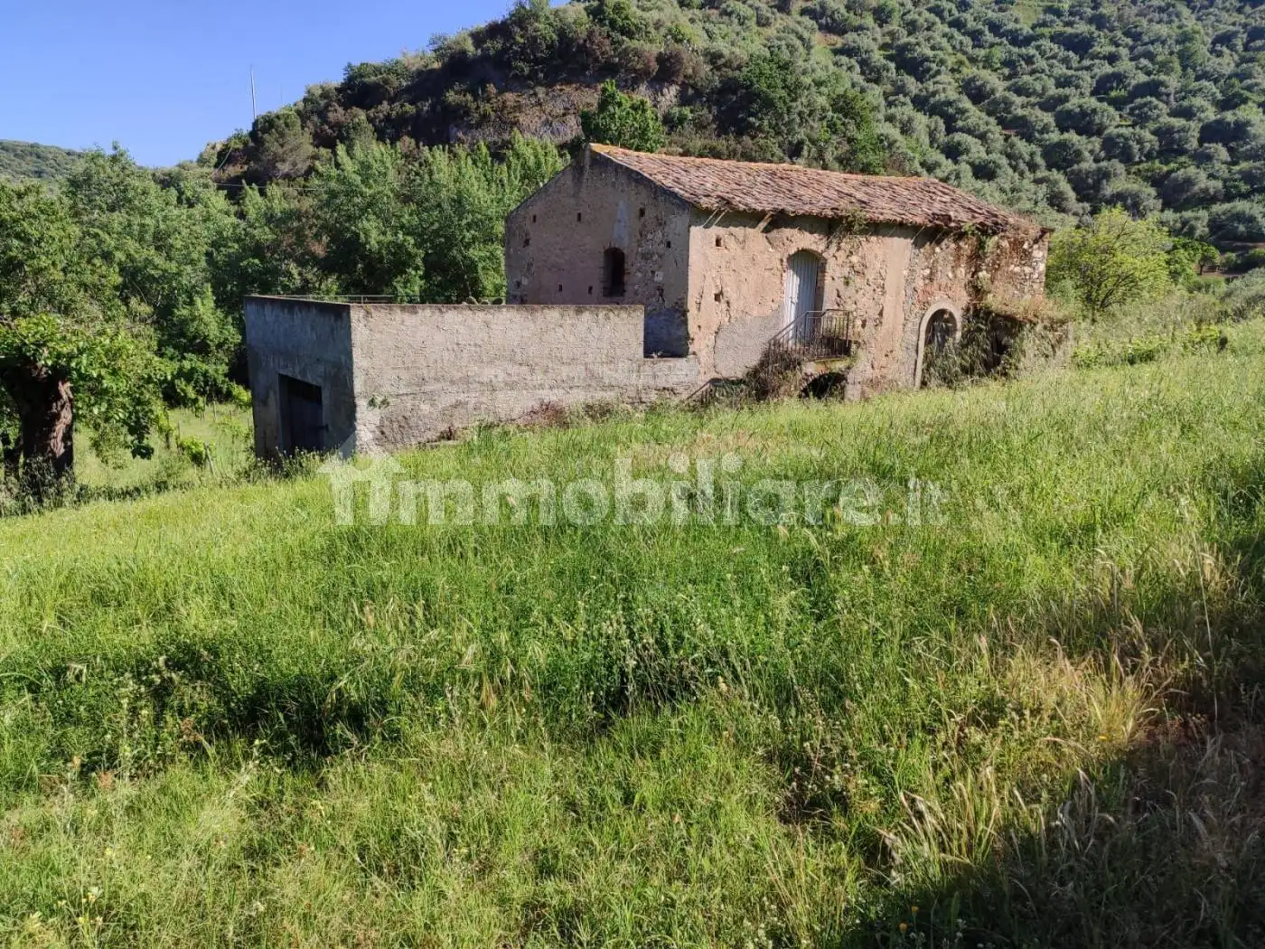 Rustico - Casale in vendita a Falcone