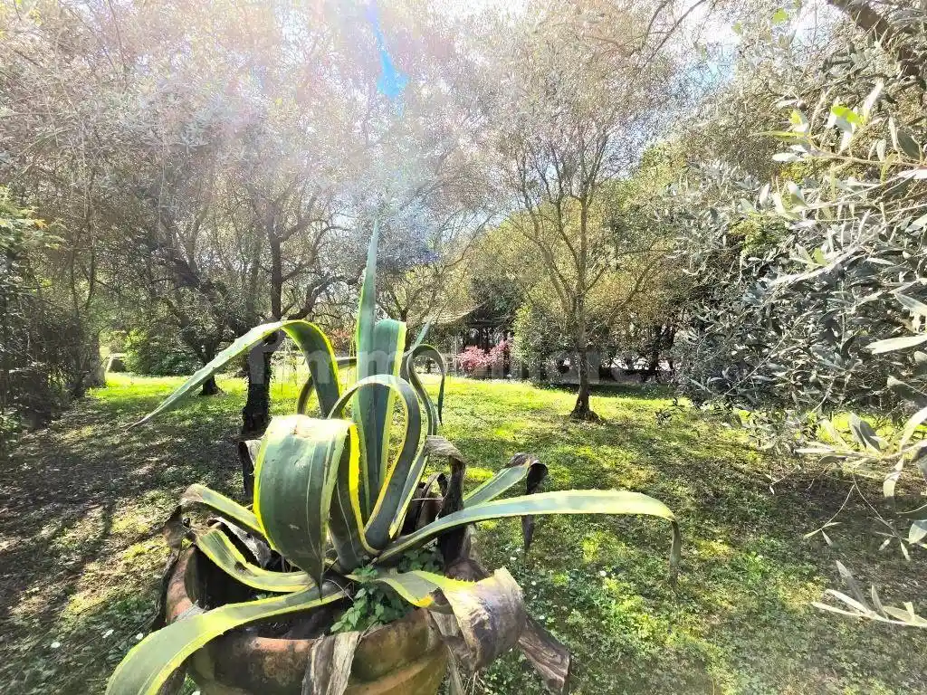 Terratetto unifamiliare via filettole, Balbano, Lucca - foto 4