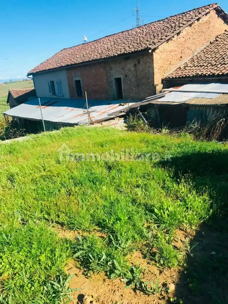 Cascina via Gavelli, Castelnuovo Calcea - foto 5