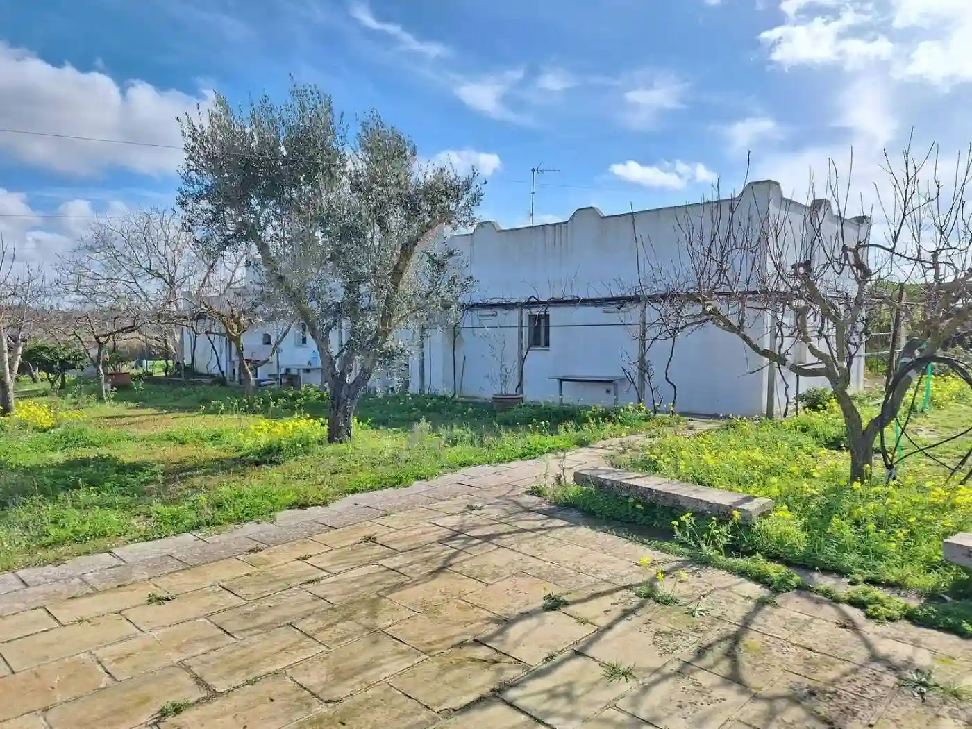 Rustico - Casale - foto 5