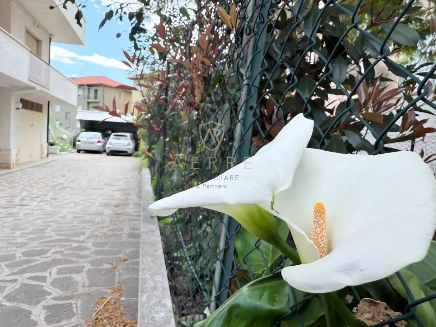 Terratetto unifamiliare via Dante Alighieri 94, Centro, Cepagatti - foto 4