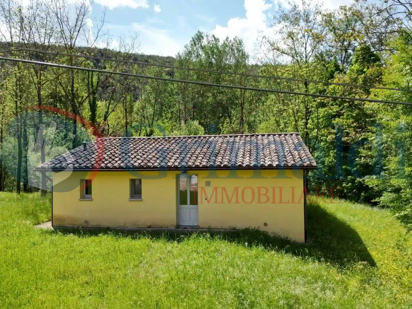 Palazzo - Edificio - foto 5