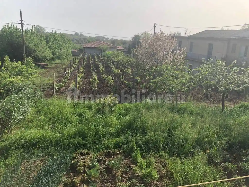 Villa unifamiliare Località Preitoni 6, Preitoni, Nicotera - foto 5