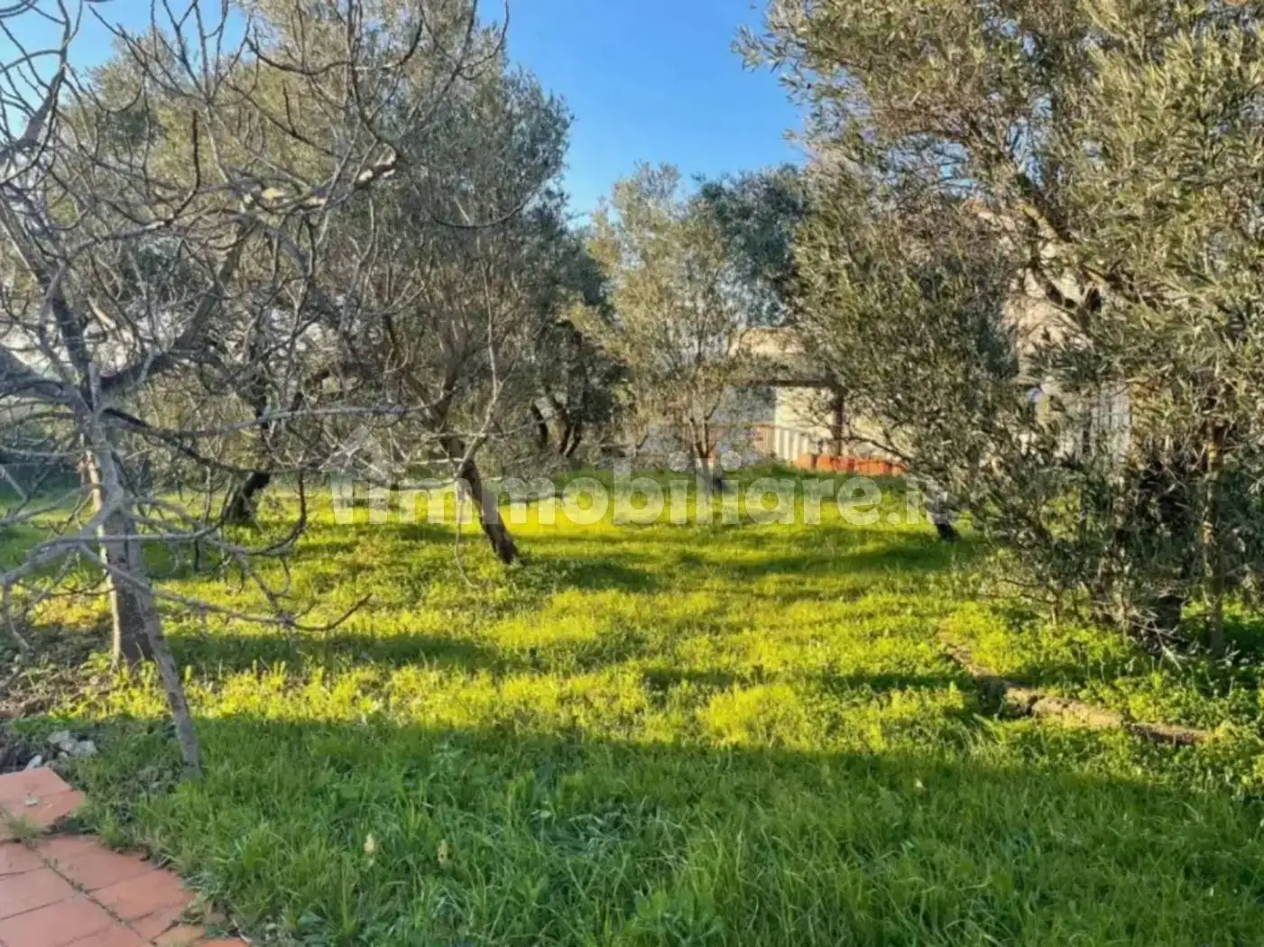 Villa a schiera c.da Pianta, Cleto - foto 2