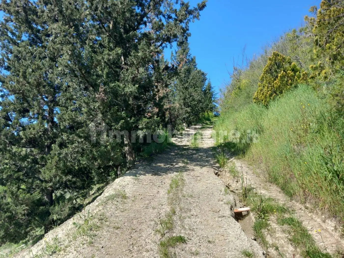 Cascina Sant'Ilio 97, Casalincontrada - foto 4