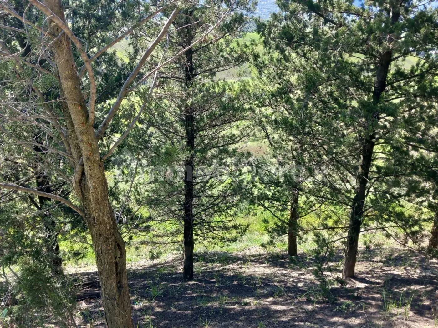 Cascina Sant'Ilio 97, Casalincontrada - foto 5