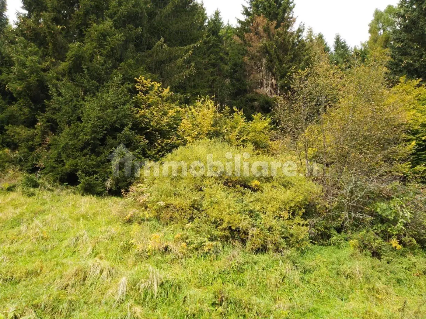 Rustico - Casale in vendita a Comelico Superiore