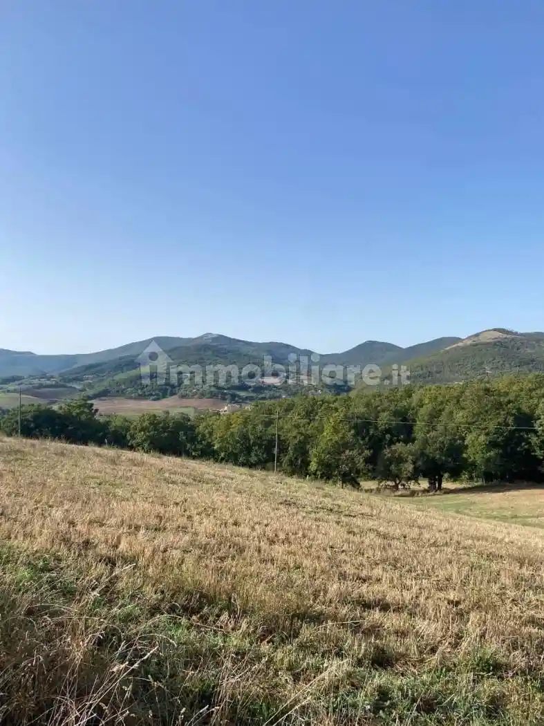 Appartamento in vendita a Baschi