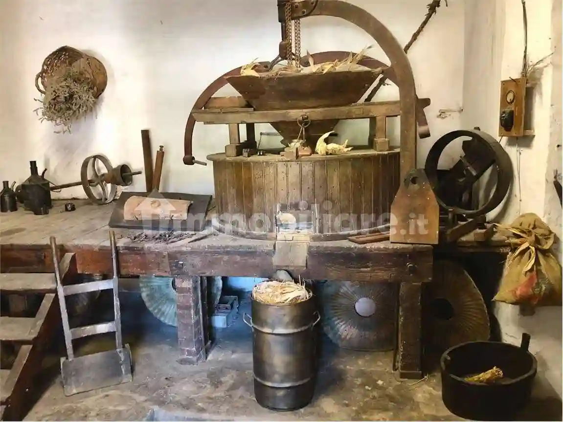 Palazzo - Edificio - foto 4