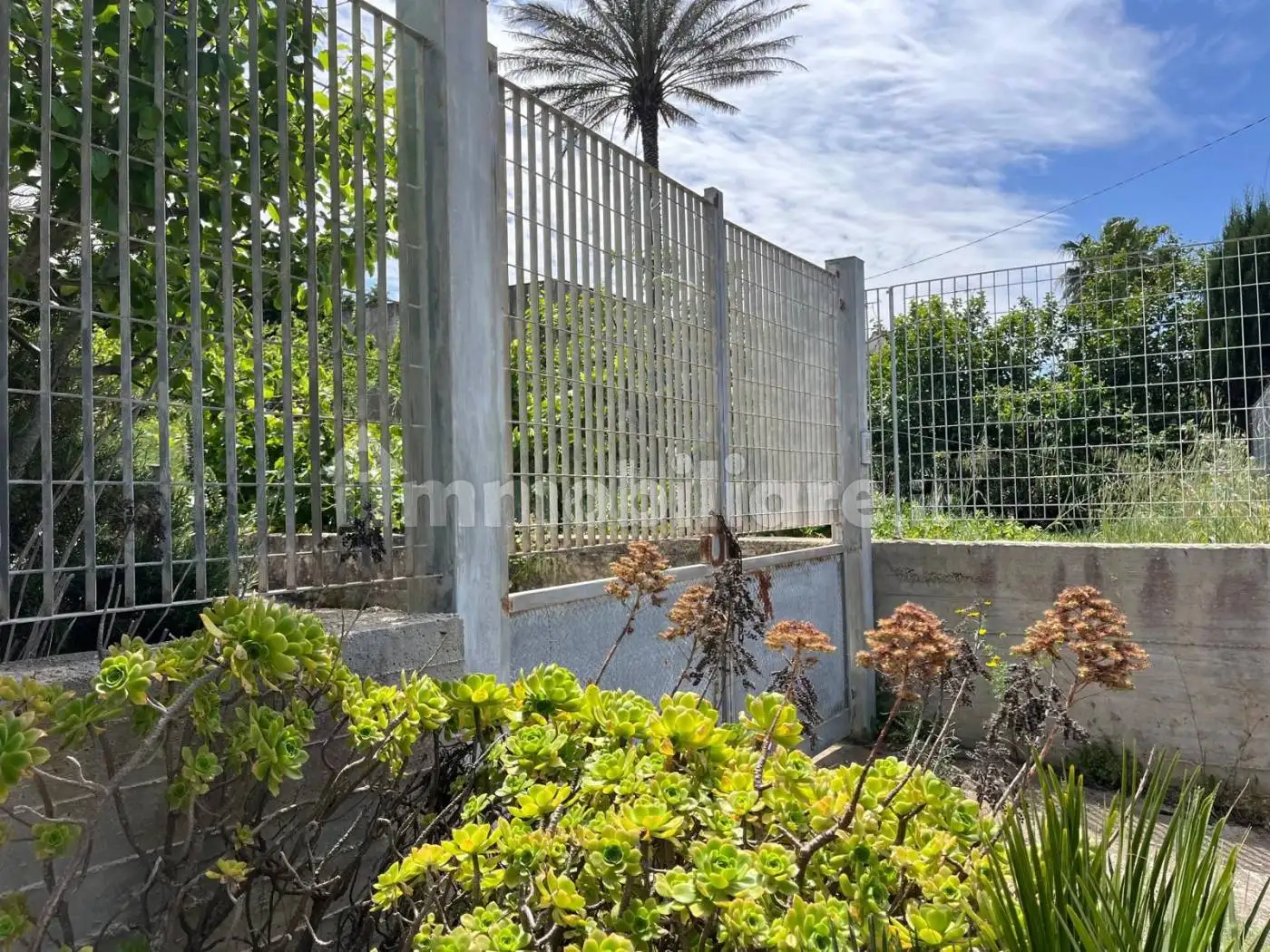 Rustico via Antonino Manzo 44, Buseto Palizzolo - foto 3