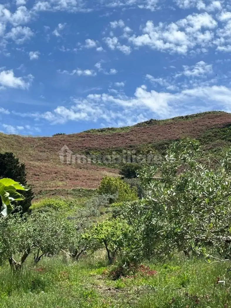 Rustico via Antonino Manzo 44, Buseto Palizzolo - foto 5