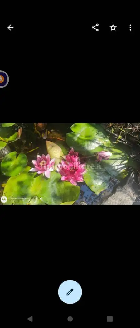 Chalet frazione Petit-Antey 48, Centro, Antey-Saint-Andrè - foto 5