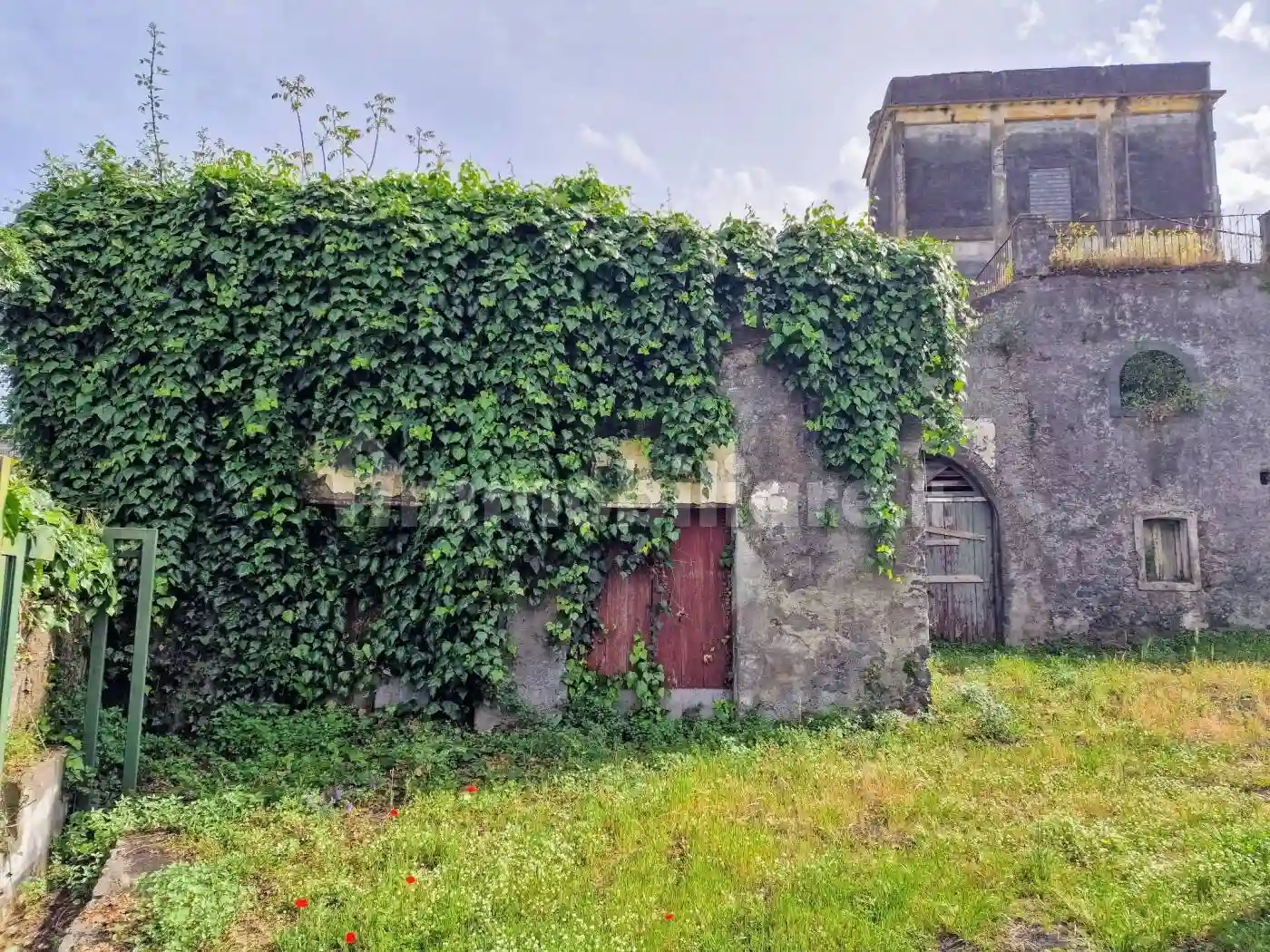 Palazzo - Edificio - foto 3