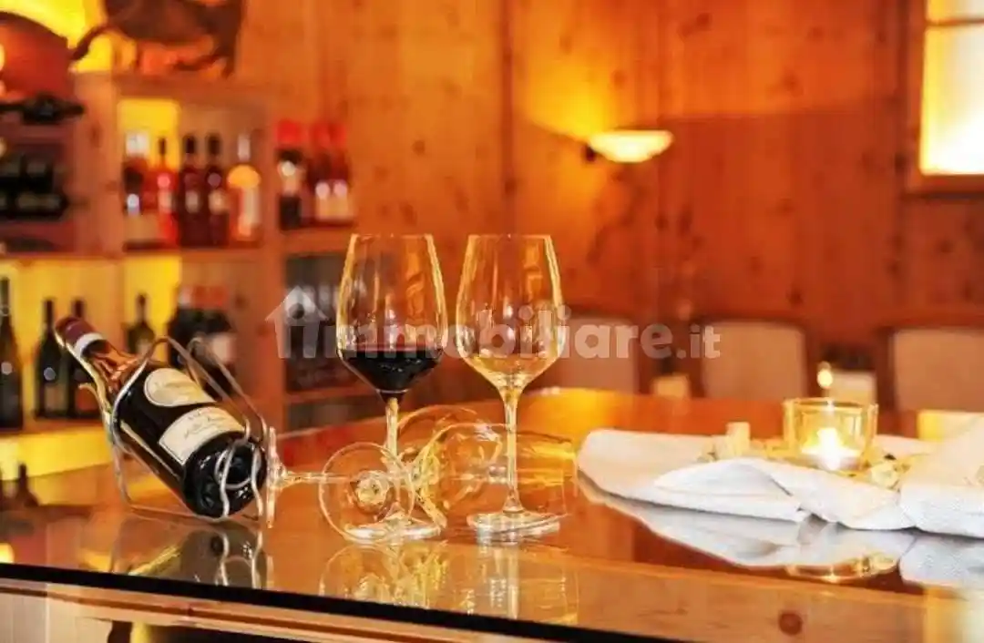 Palazzo - Edificio in vendita a Silandro