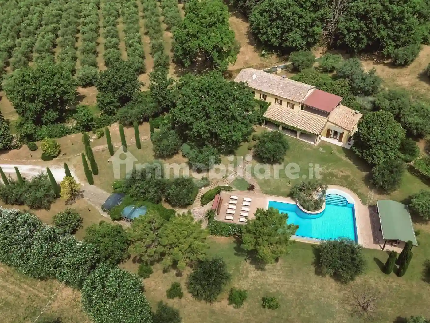 Villa - foto 4
