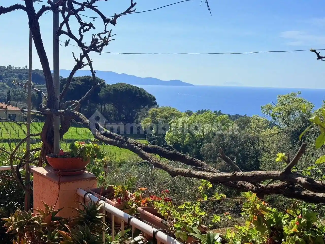Rustico - Casale in vendita a Monte Argentario