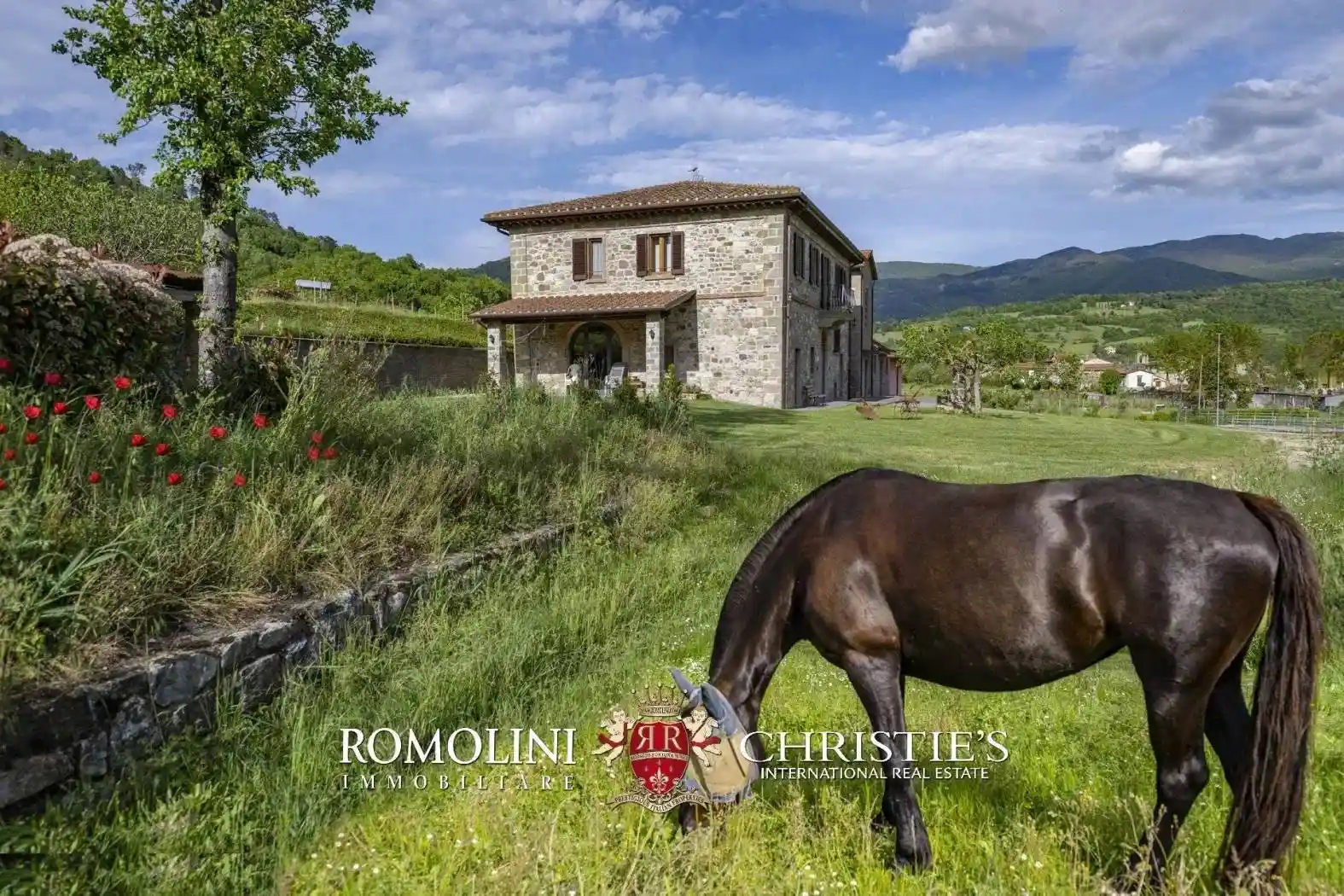Rustico - Casale in vendita a Castel Focognano