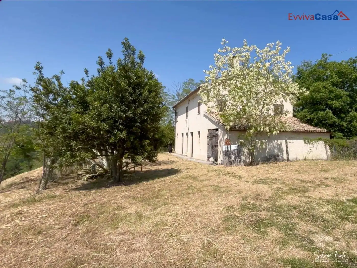 Rustico - Casale in vendita a Trecastelli