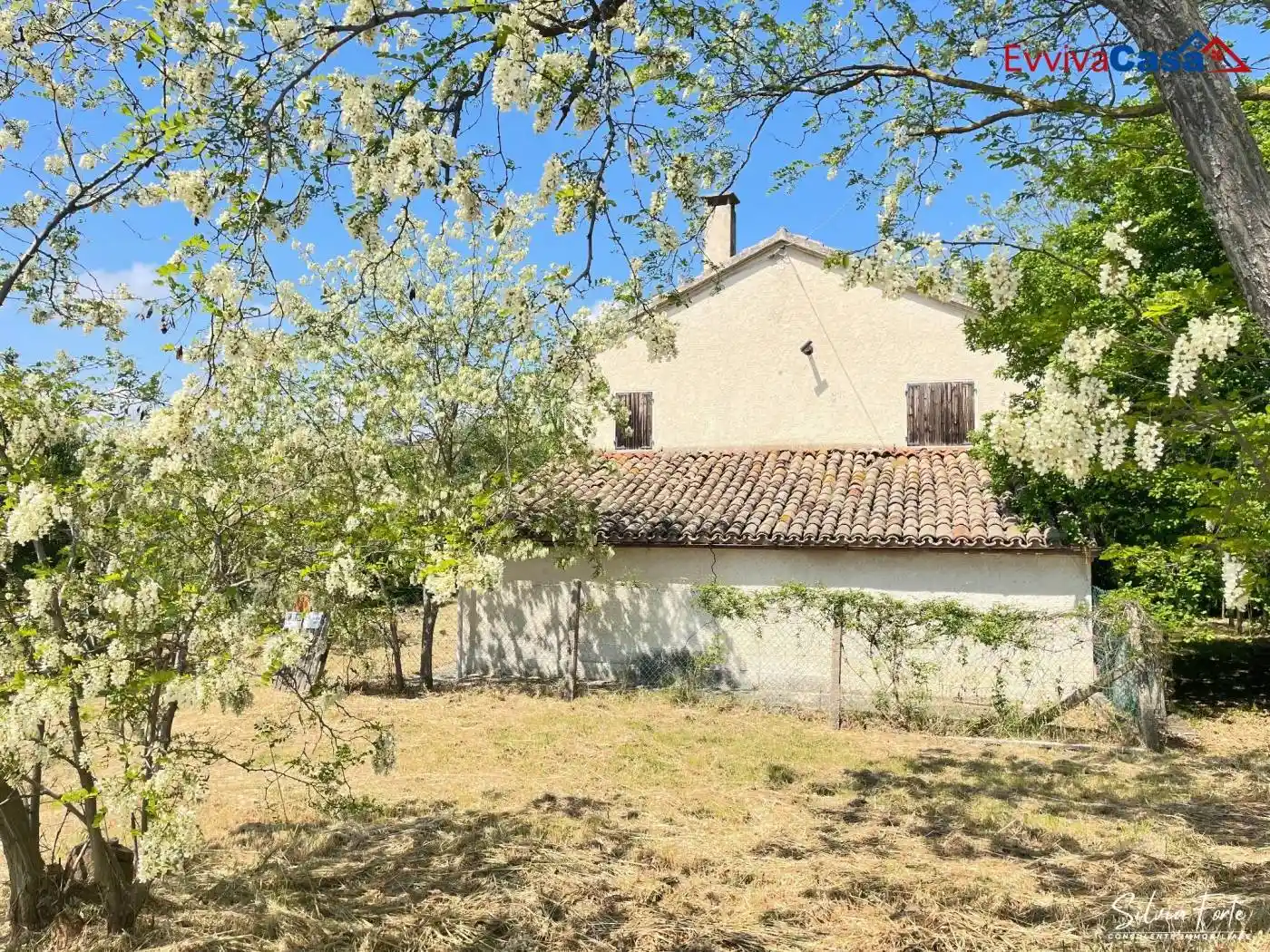 Casale via San Francesco 3, Trecastelli - foto 2