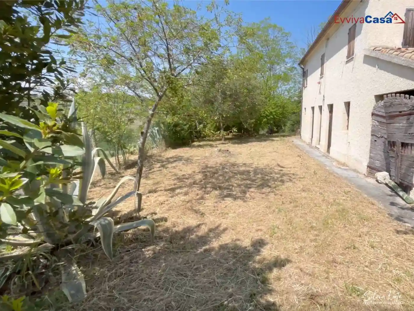 Casale via San Francesco 3, Trecastelli - foto 5