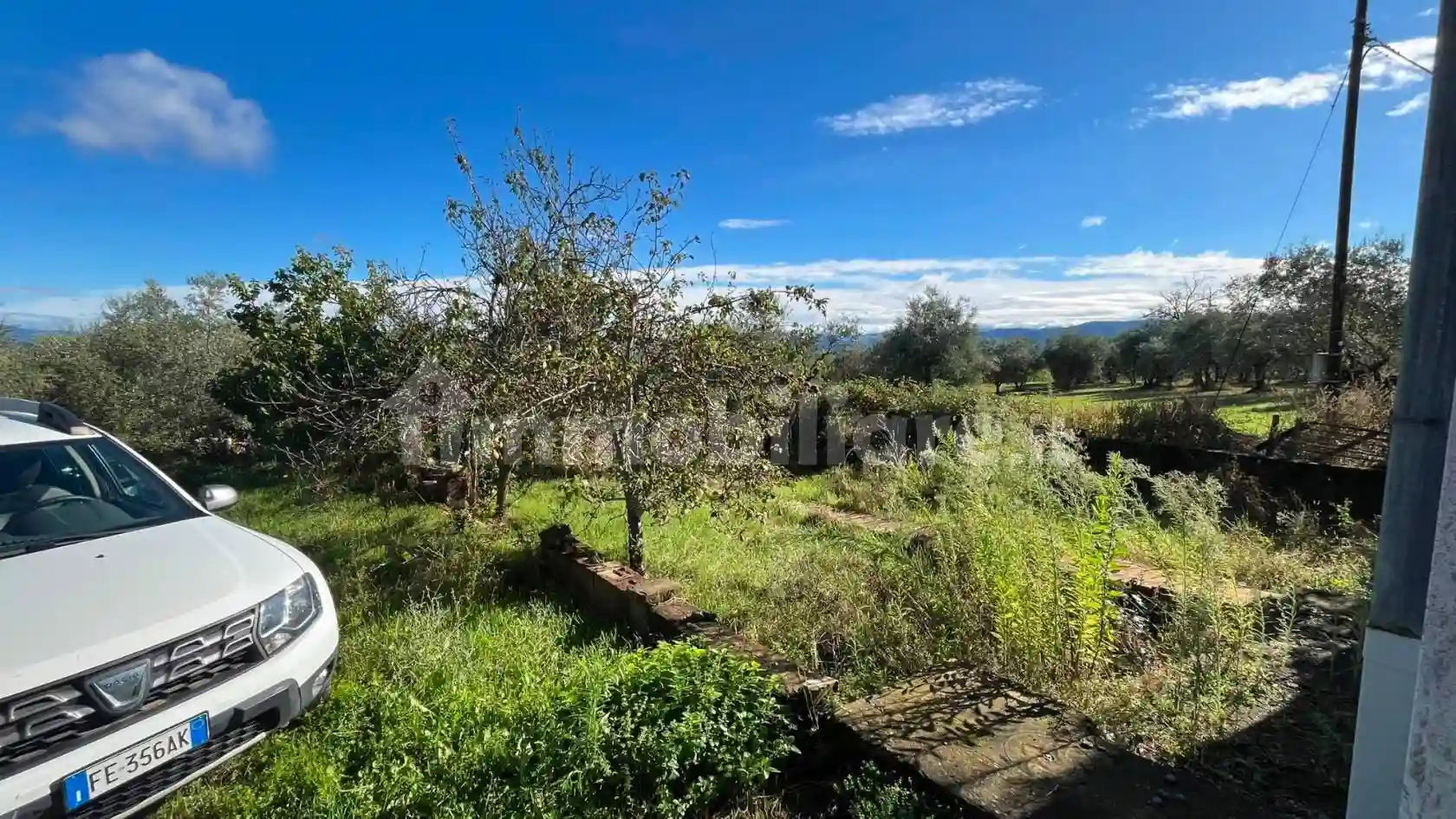 Palazzo - Edificio - foto 4