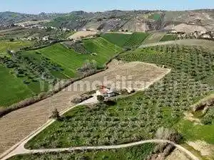 Casale via Sorripe 61, Città Sant'Angelo - foto 2