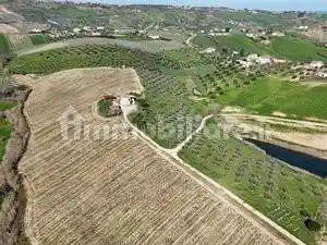 Casale via Sorripe 61, Città Sant'Angelo - foto 4