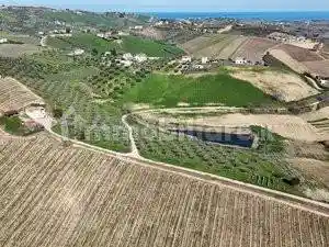 Casale via Sorripe 61, Città Sant'Angelo - foto 5