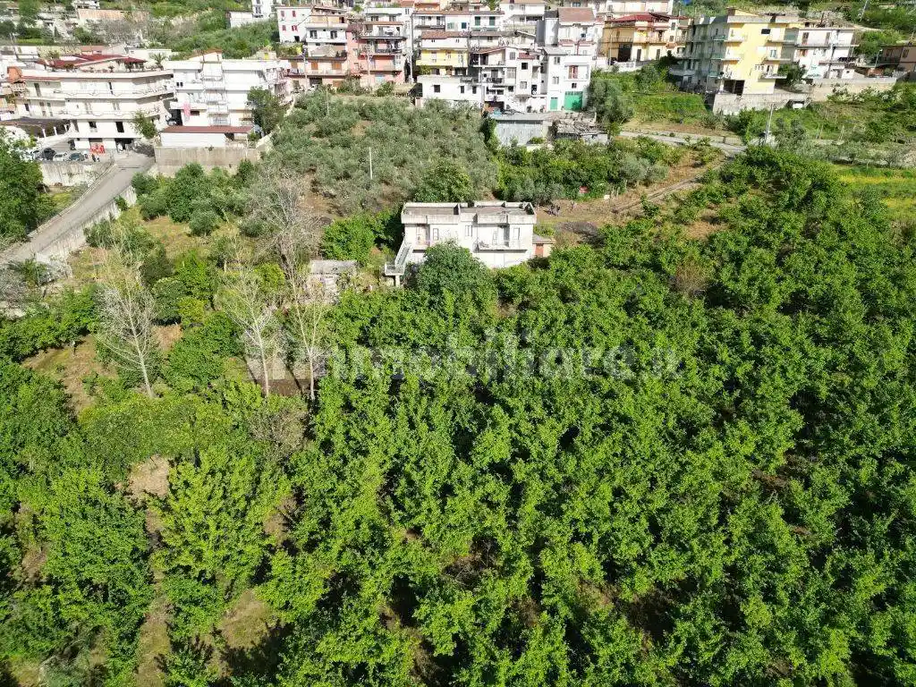 Rustico - Casale in vendita a San Felice a Cancello