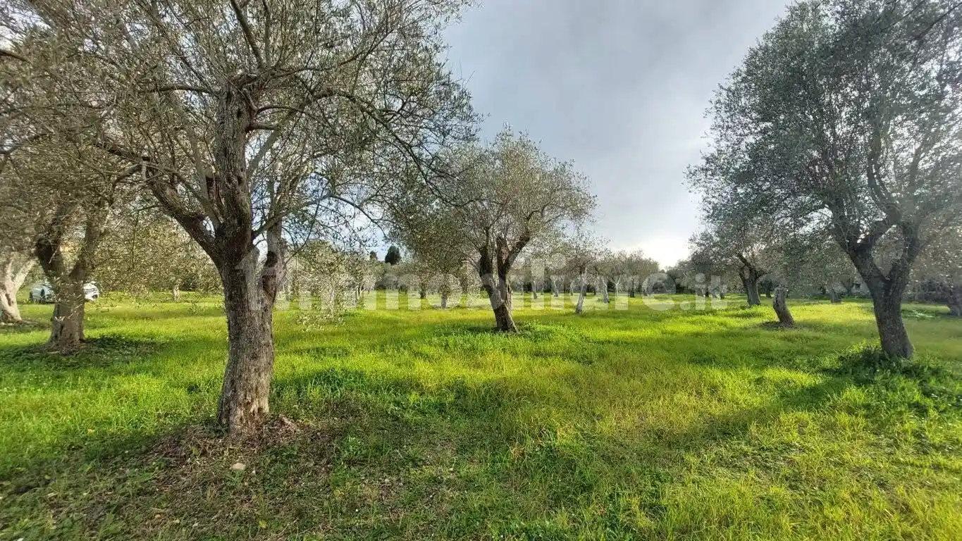 Villa unifamiliare Strada Comunale San Pietro d'Ottava 132B, San Giovanni - Villa Gorizia, Sassari - foto 5