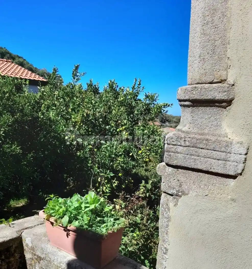 Appartamento in vendita a Perdifumo