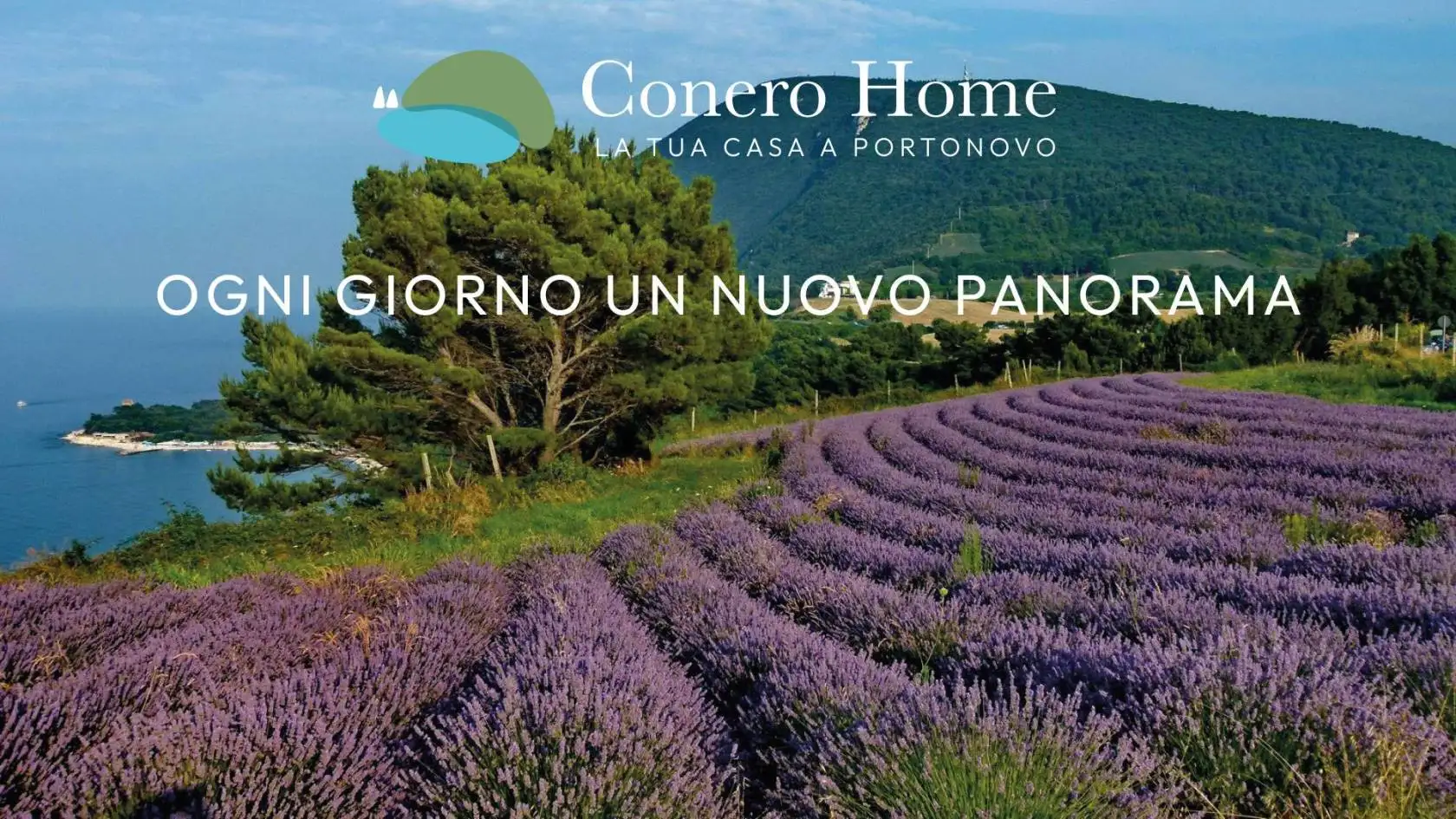 Appartamento in vendita a Ancona