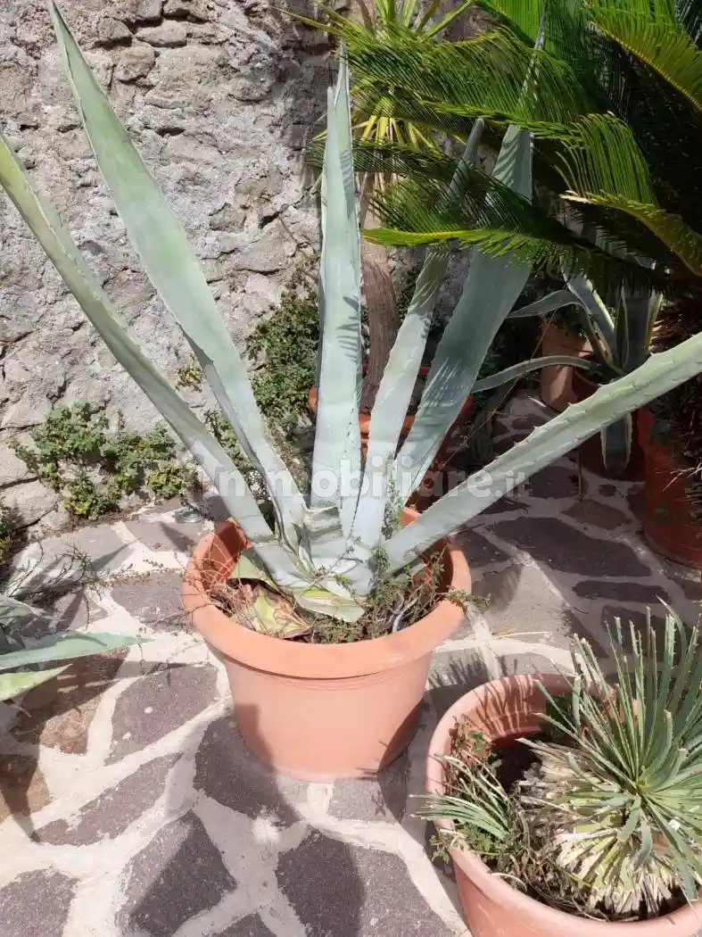 Loft in vendita a Ospedaletti