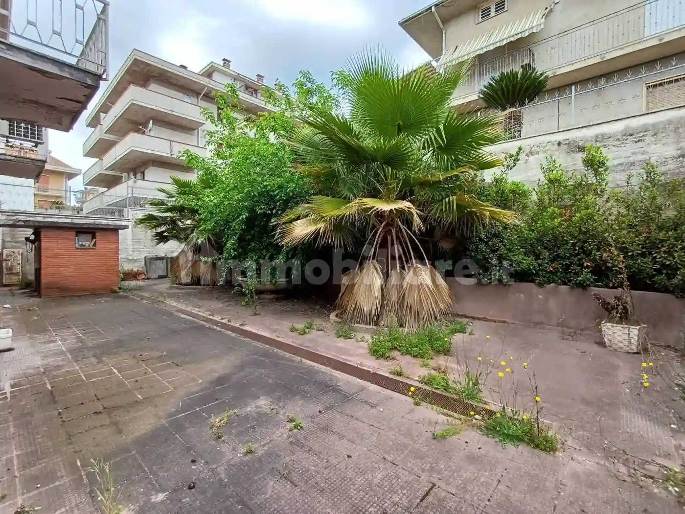 Palazzo - Edificio - foto 4