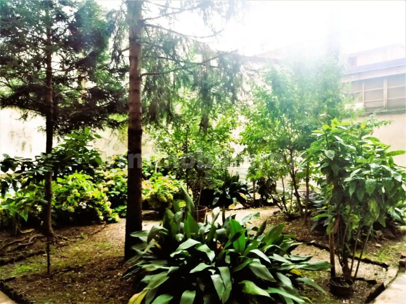 Bilocale via Padova 72, Parco Trotter, Milano - foto 4