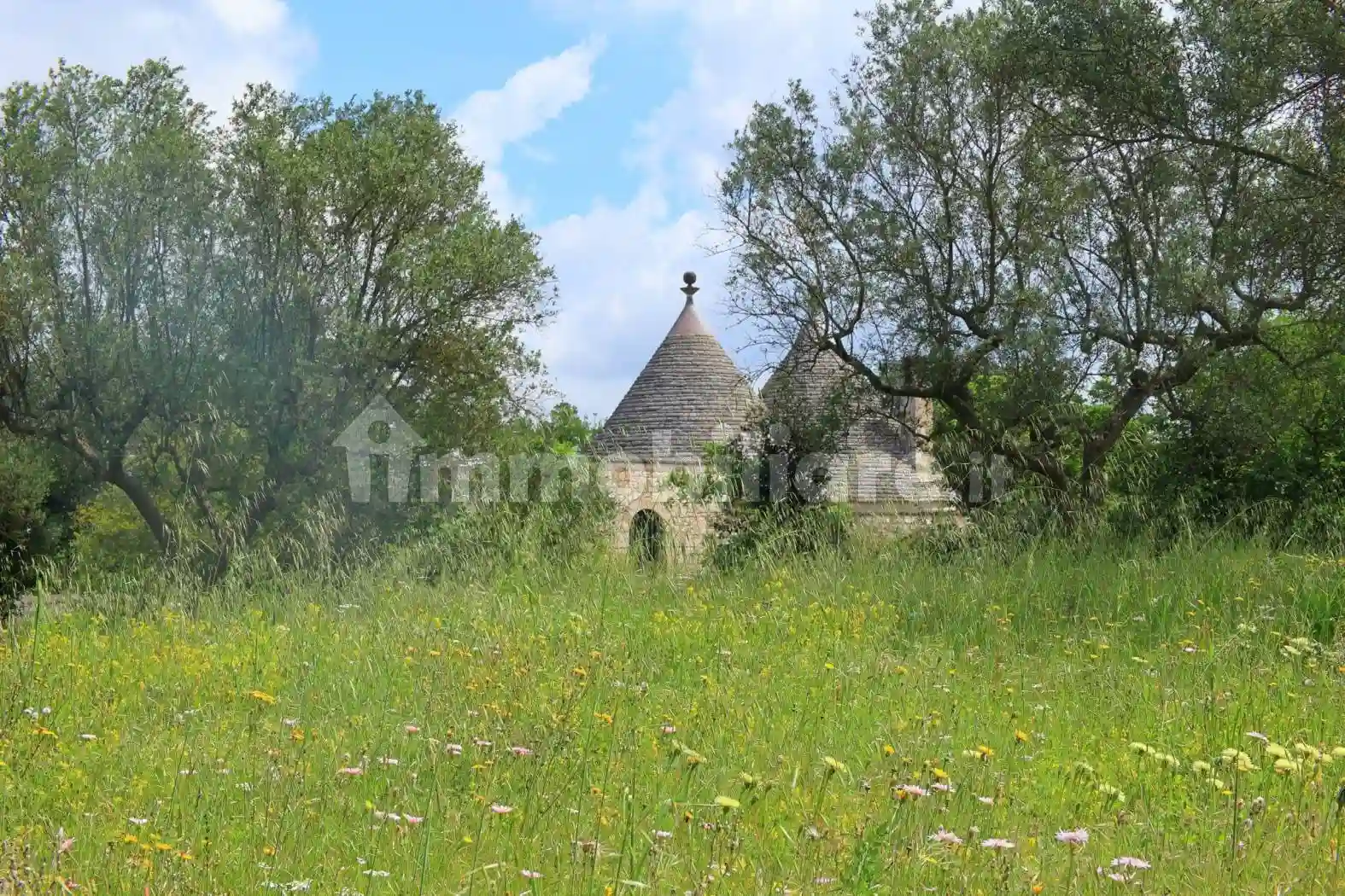 Rustico - Casale - foto 4