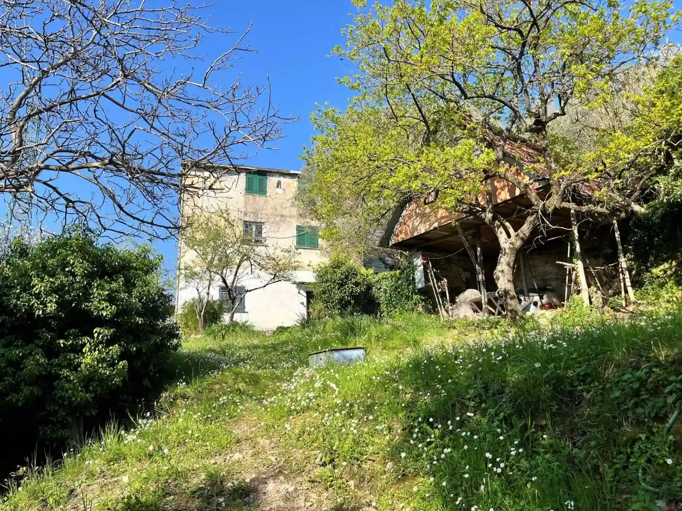Rustico - Casale - foto 3