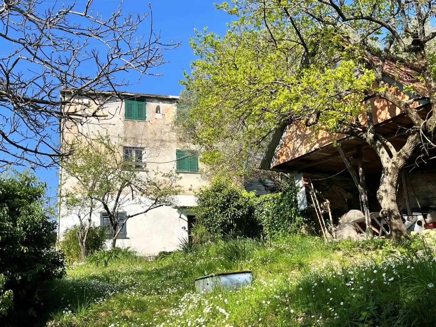 Rustico - Casale - foto 4