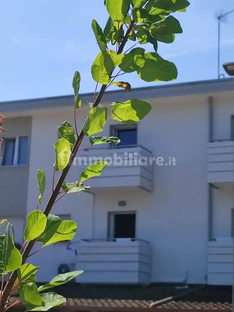 Appartamento in vendita a San Michele al Tagliamento