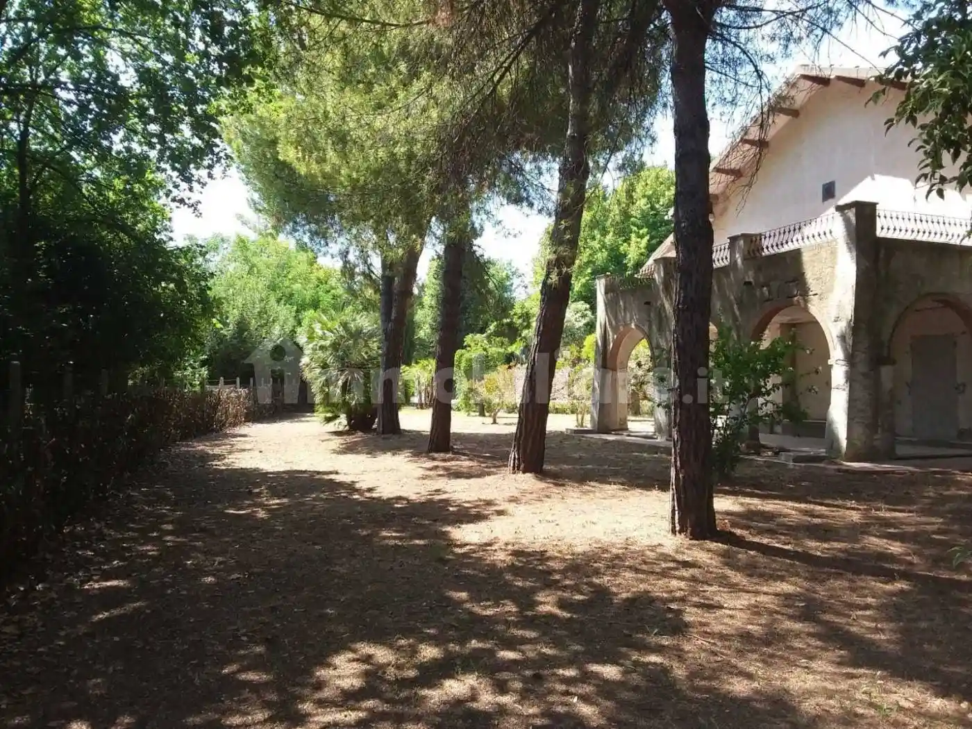 Villa unifamiliare, da ristrutturare, 2400 m², Centro, Tortoreto - foto 5