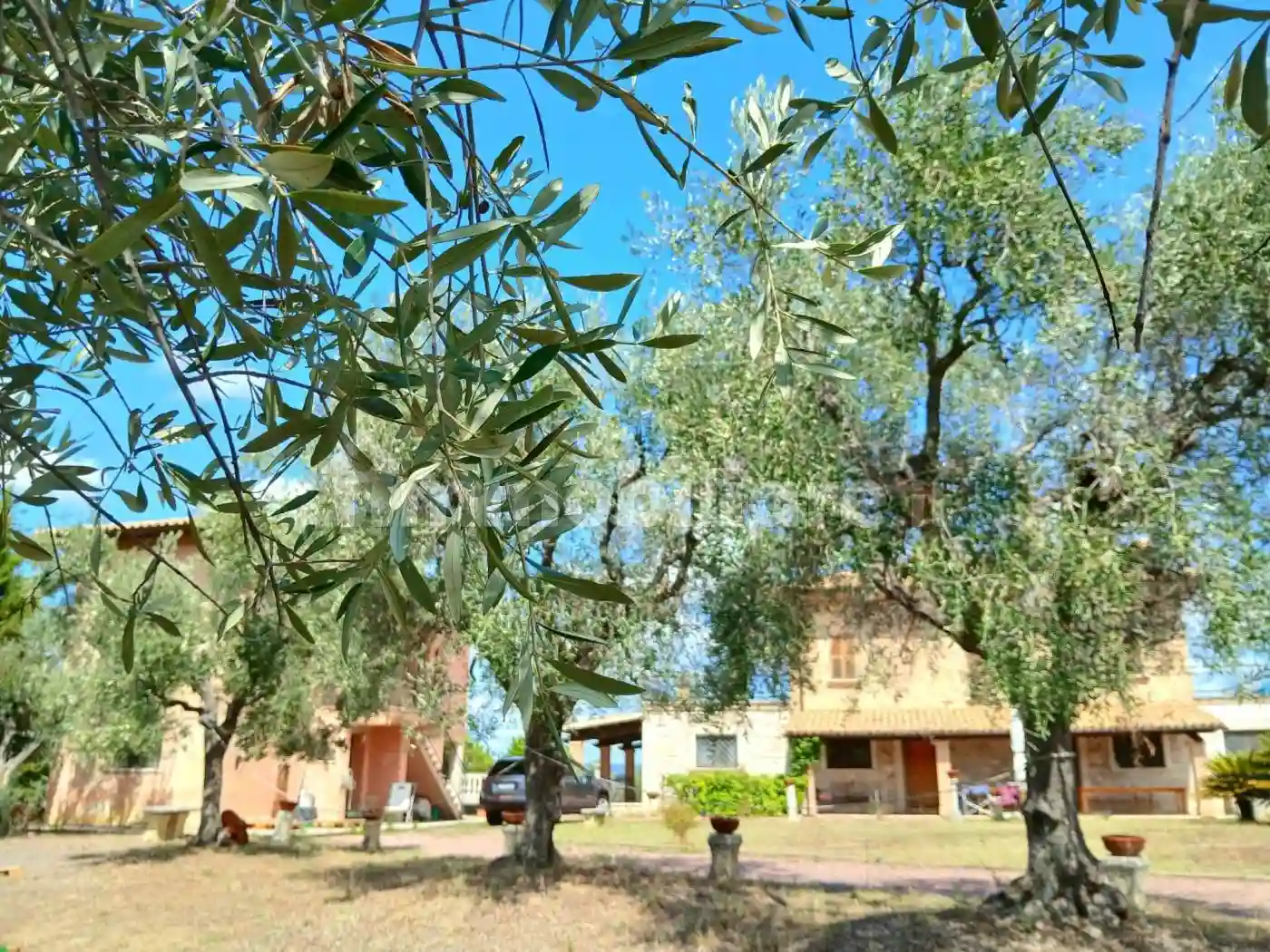 Villa unifamiliare, buono stato, 516 m², Ancarano - foto 4