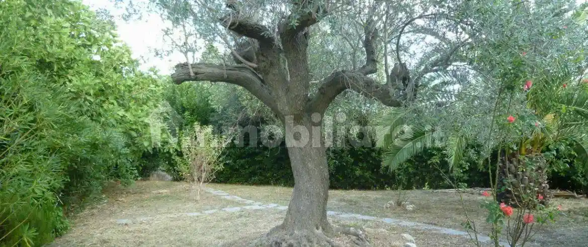 Villa unifamiliare, ottimo stato, 400 m², Cossignano - foto 5