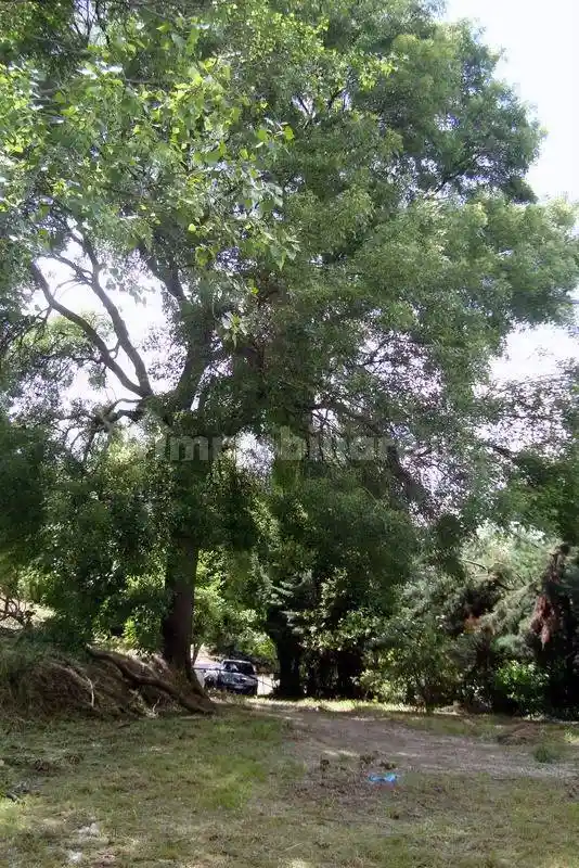 Villa in vendita a Fermo