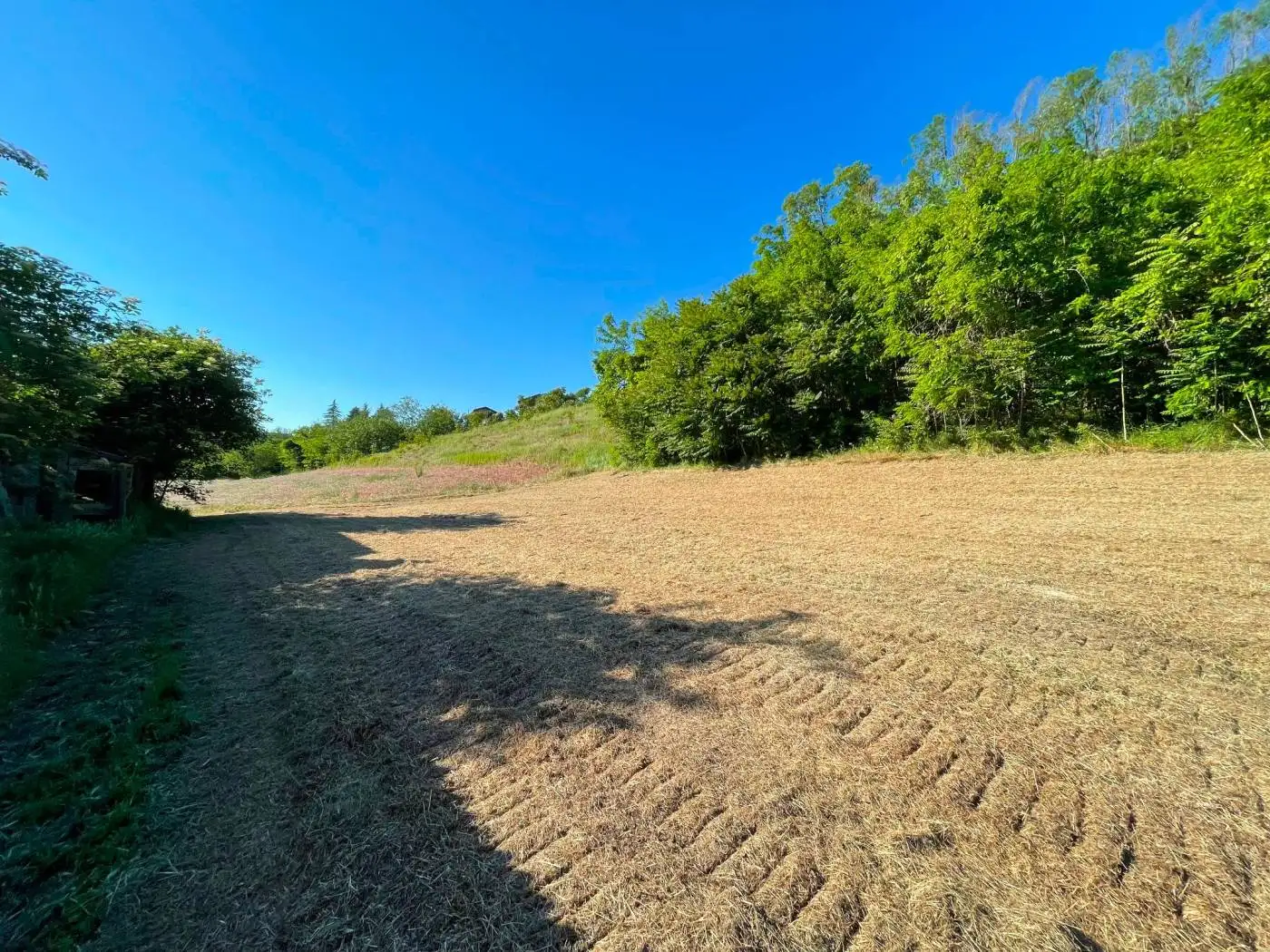 Villa unifamiliare frazione San Vito 11, Calamandrana - foto 5