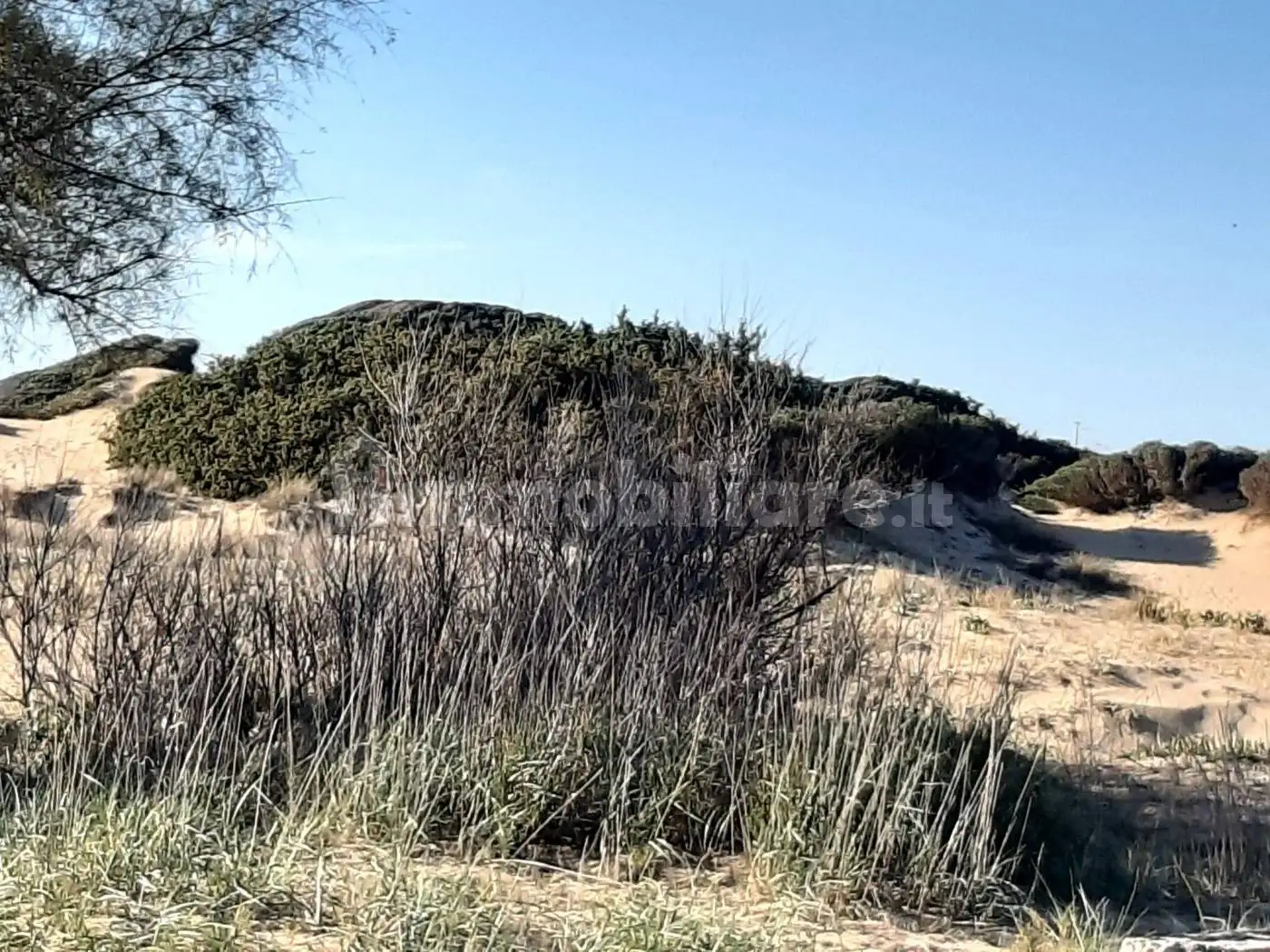 Appartamento in affitto a Manduria