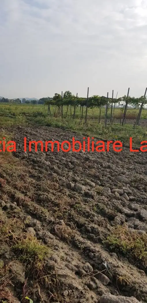 Casa colonica via Malacarne, Carceri, Santa Caterina d'Este - foto 2