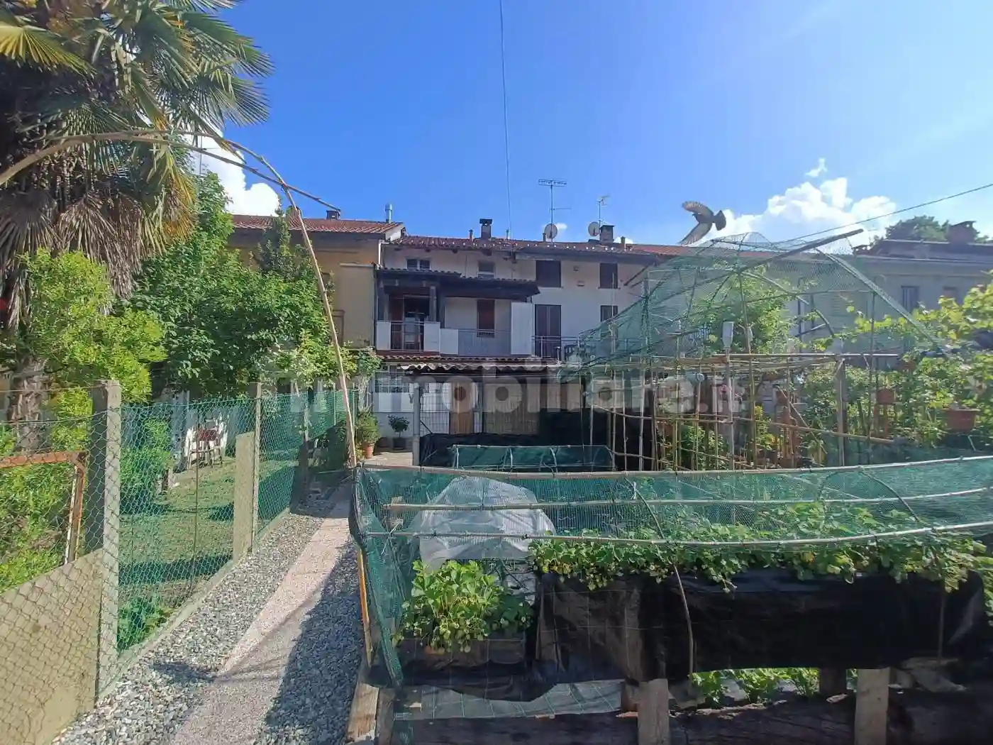 Casa indipendente - foto 5